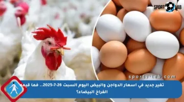 تغير جديد في أسعار الدواجن والبيض اليوم السبت 26-7-2025.. فما قيمة الفراخ البيضاء؟